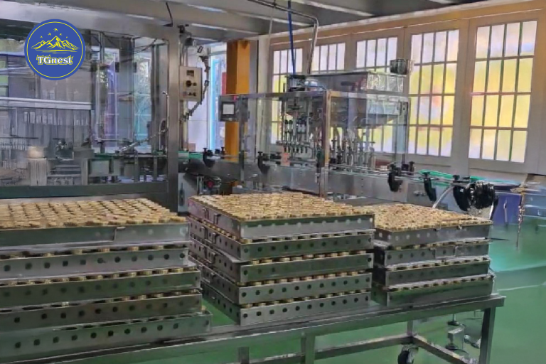 nhà máy đạt chuẩn GMP