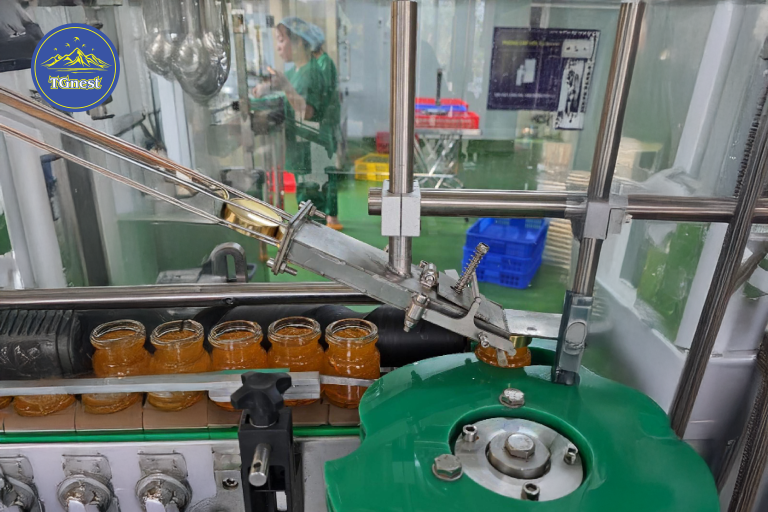 dây chuyền sản xuất hiện đại