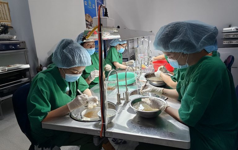 công đoạn tinh chế yến