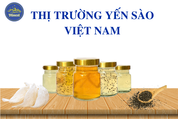 Thị Trường Yến Sào Việt Nam 2025: Toàn Cảnh Ngành Yến Sào