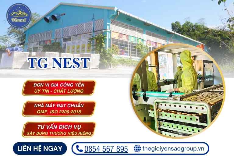 Chế Biến Yến Tinh Chế 