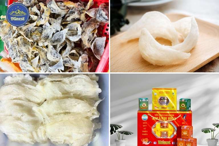 Chế Biến Yến Tinh Chế