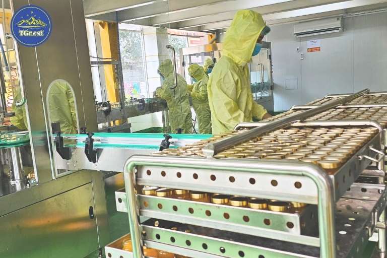 Chế Biến Yến Tinh Chế