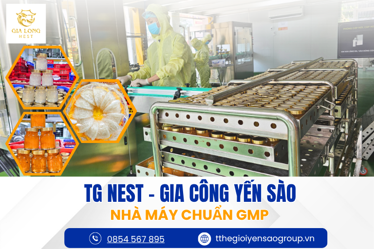 Yến chưng tam vị lá dứa